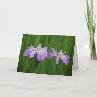 Notecards für Lavendel-Blume Karte