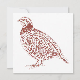 Notecards für Partridge Mitteilungskarte