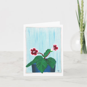 Notecards für Red White Gloxinia African Violet Bl Karte