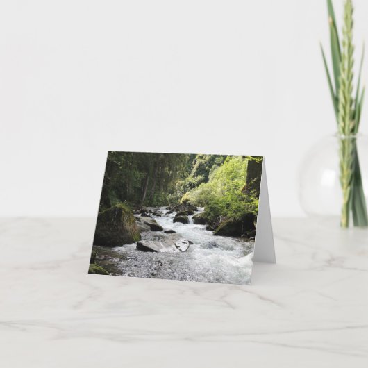 Notecards für Wälder und Flecken Karte (Vorderseite)