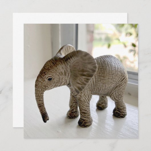 Notecards Mitteilungskarte (Vorne/Hinten)