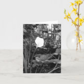 Notecards von Calla Lily Karte (Gelbe Blume)