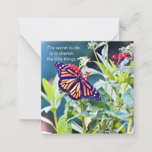 Notecards von Monarch Butterfly Mitteilungskarte