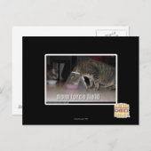 Notenkraftfeld Postkarte (Vorne/Hinten)