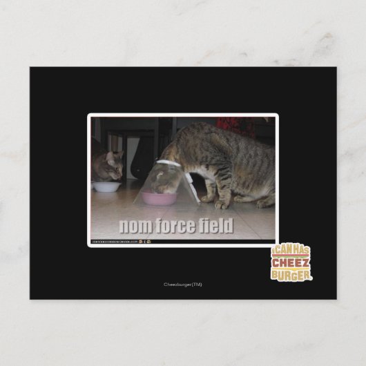 Notenkraftfeld Postkarte (Vorderseite)