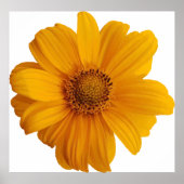 Notenkunst Poster (Vorne)