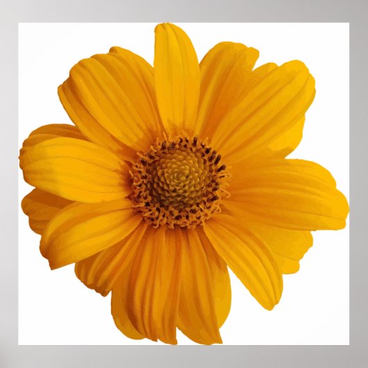 Notenkunst Poster (Vorne)