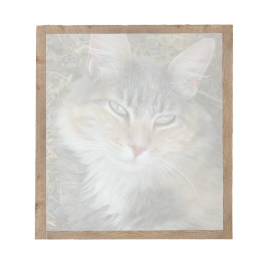 Notepad mit ausgeblendetem Foto Notizblock (Vorderseite)