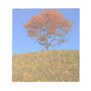 Notepad vom Herbsttag löschen Notizblock