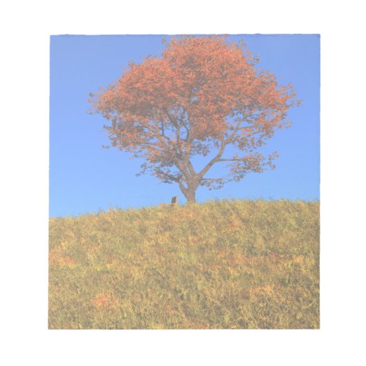 Notepad vom Herbsttag löschen Notizblock (Vorderseite)