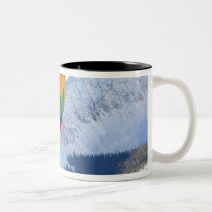 Noth America, USA, Colorado, Mt. Crested Butte, 2 Zweifarbige Tasse