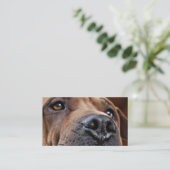 Nothaustier-Alarm-Karten für Haustier-Inhaber Telefonnummerkarte (Stehend Vorderseite)