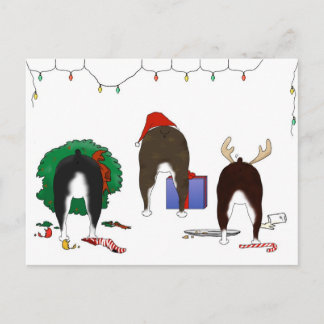 Nothin' Butt A Boston Terrier Christmas Feiertagspostkarte