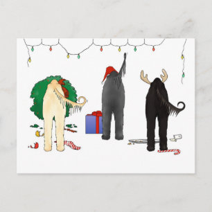 Nothin' Butt An Afghan Christmas Feiertagspostkarte