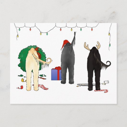 Nothin' Butt An Afghan Christmas Feiertagspostkarte (Vorderseite)