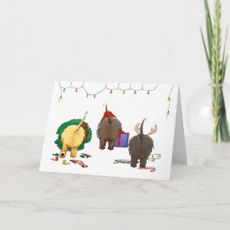Nothin' Hintern A Cairn Weihnachtskarte Feiertagskarte