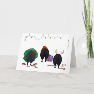 Nothin' Hintern A Schipperke Weihnachten