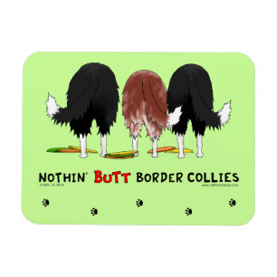 Nothin' Hintern Border Colliese Magnet