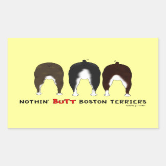 Nothin' Hintern Boston Terriers Rechteckiger Aufkleber