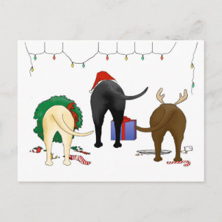 Nothin' Hintern Ein Labrador Weihnachten