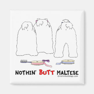 Nothin' Hintern Maltese Magnet