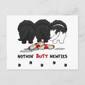 Nothin' Hintern Newfy Postkarte