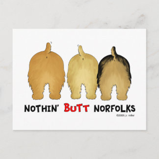 Nothin' Hintern Norfolks Postkarte