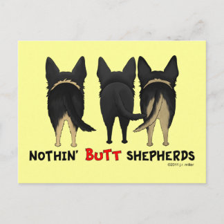 Nothin' Hintern Shepherds Postkarte