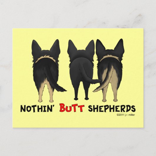 Nothin' Hintern Shepherds Postkarte (Vorderseite)