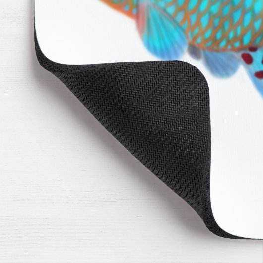 Nothobranchius Rachovii Killifish Mousepad (Ecke)