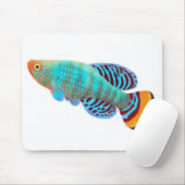 Nothobranchius Rachovii Killifish Mousepad (Mit Mouse)