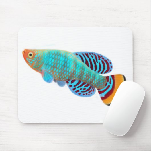 Nothobranchius Rachovii Killifish Mousepad (Mit Mouse)