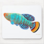 Nothobranchius Rachovii Killifish Mousepad (Vorne)