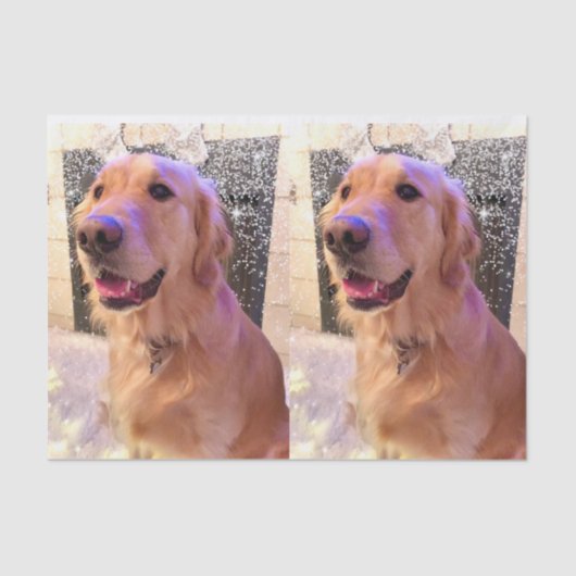 Notieren Sie das goldene Retriever-Gewebepapier Seidenpapier (Vorderseite)