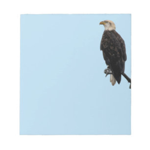 Notizblock Eagle