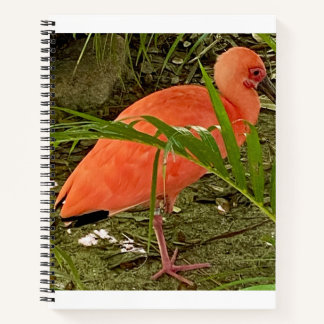 Notizbuch
