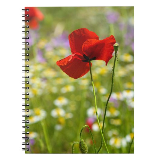 Notizbuch - Das rote Mohn-Foto Notizblock (Vorderseite)