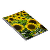 Notizbuch - Das Sonnenblumenfeld Notizblock (Rechte Seite)