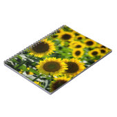 Notizbuch - Das Sonnenblumenfeld Notizblock (Linke Seite)