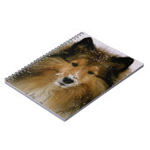 Notizbuch - die Shetlandinseln-Schäferhund im Notizblock (Linke Seite)