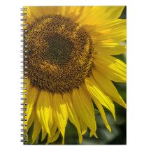 Notizbuch - Gelbe Sonnenblume