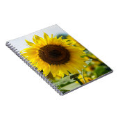 Notizbuch - Isolierte Sonnenblume Notizblock (Rechte Seite)