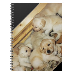 Notizbuch mit Foto der Labradorwelpen Notizblock