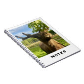 Notizbuch Notizblock (Rechte Seite)