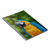 Notizbuch _ Papagei Notizblock (Rechte Seite)
