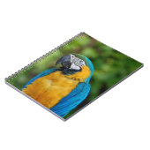 Notizbuch _ Papagei Notizblock (Linke Seite)