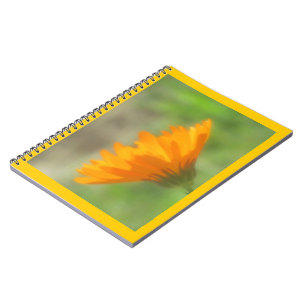 Notizbuch - Ringelblume Notizblock