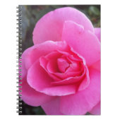 Notizbuch - rosa Rose Notizblock (Vorderseite)