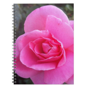 Notizbuch - rosa Rose Notizblock