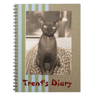 Notizbuch   Sepia Foto Devon Rex Cat Notizblock
